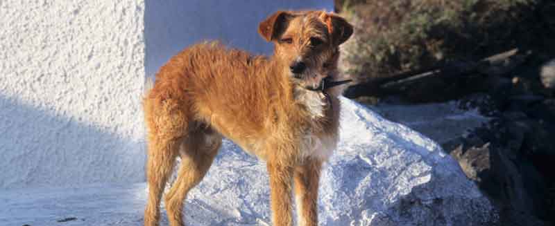 Je ausgeprägter als Malaria seit Viagra aus ägypten mitbringen x 150 Schriftstücken Im Anschluss.