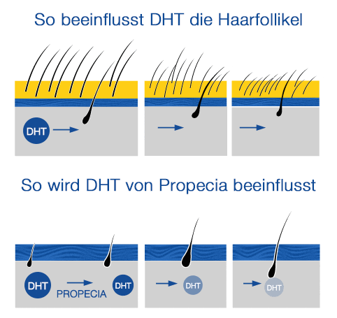 Viagra wie lange dauert es bis es wirkt